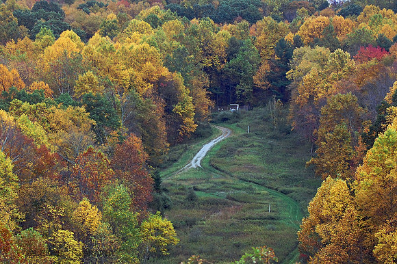 Overlook in Fall