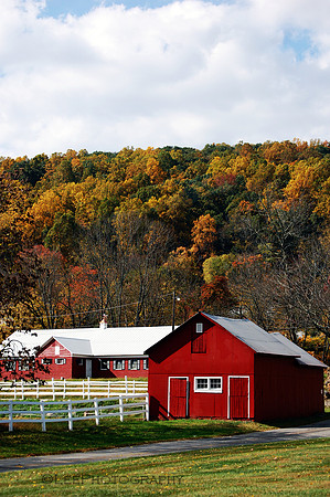 Cooperative Farm in Autumn