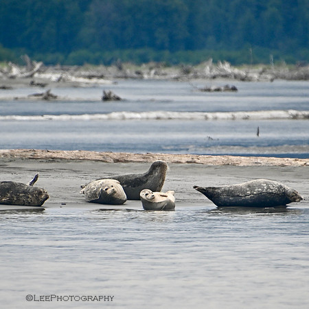 Southeast Alaska/Inside Passage