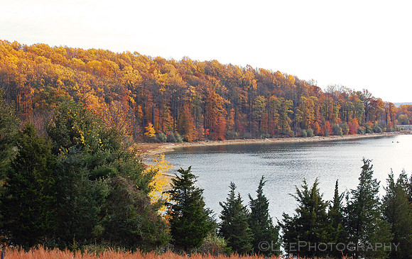 Merrill Creek in the fall